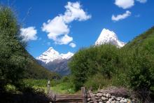 A jagged snow topped mountain with greenery and a rock fence in the foreground